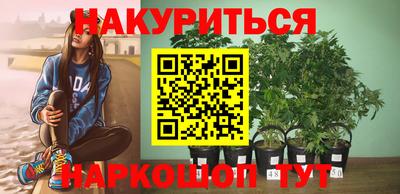 гашик Гусь-Хрустальный