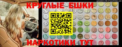 спиды Гусев