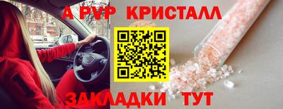 спиды Гусев