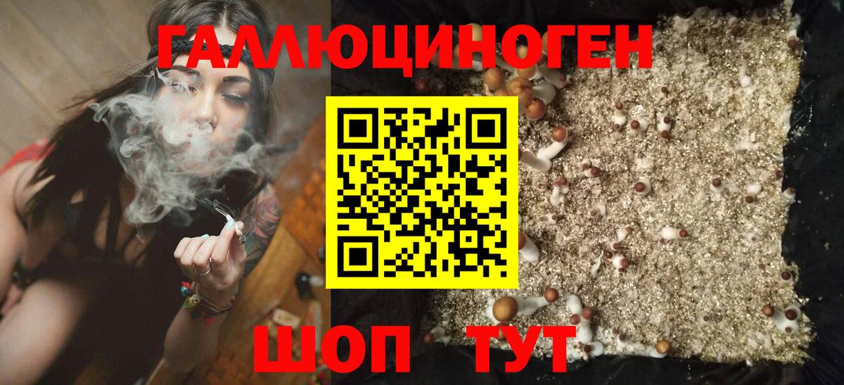 Псилоцибиновые грибы мицелий  Галлюциногенные грибы Cubensis  Вятские Поляны  Вход с VPN 