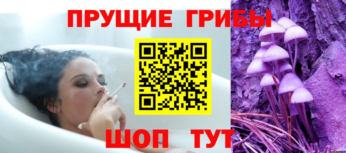 Галлюциногенные грибы Psilocybe Вятские Поляны